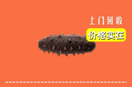 石门县回收海参