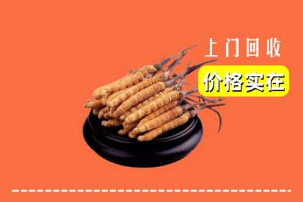 石门县回收冬虫夏草